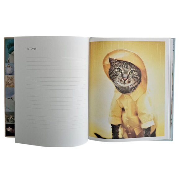 My Cat Record Book By Rachael Hale | Hardcover | NWT | Brown Red - Picture 12 of 16